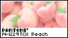 PANTONE 14-1229 Peach Nectar by King-Lulu-Deer